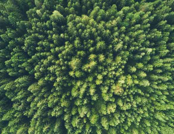 Sustainability-green-feature-banner-recycled-plastics